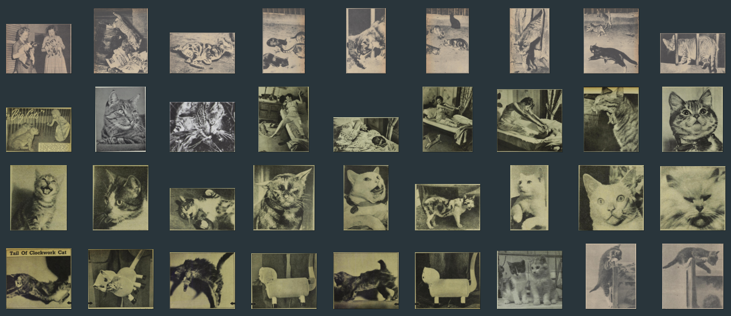 ../_images/cat-collection.png
